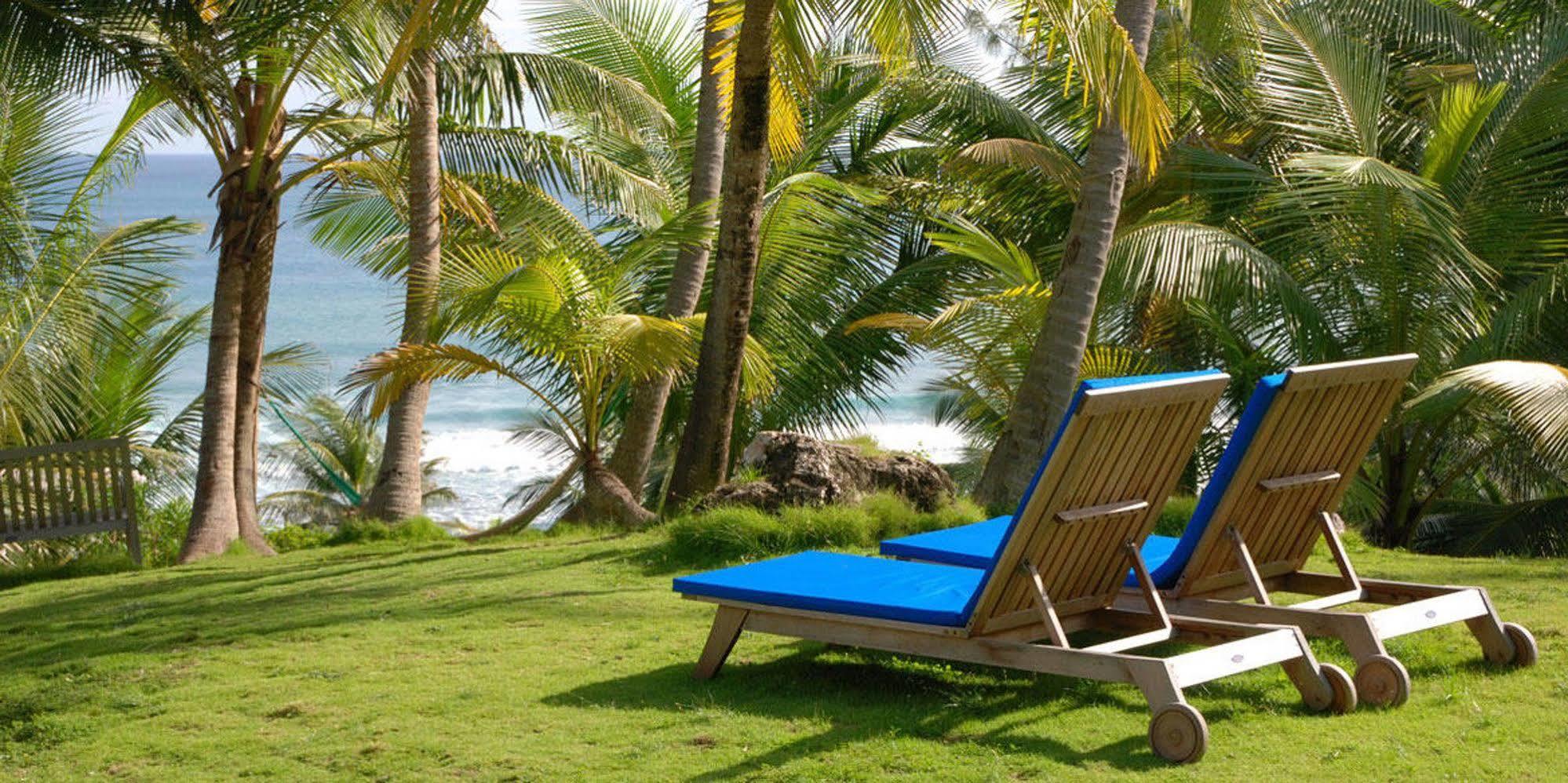 Eco Lifestyle And Lodge Bathsheba Exterior photo